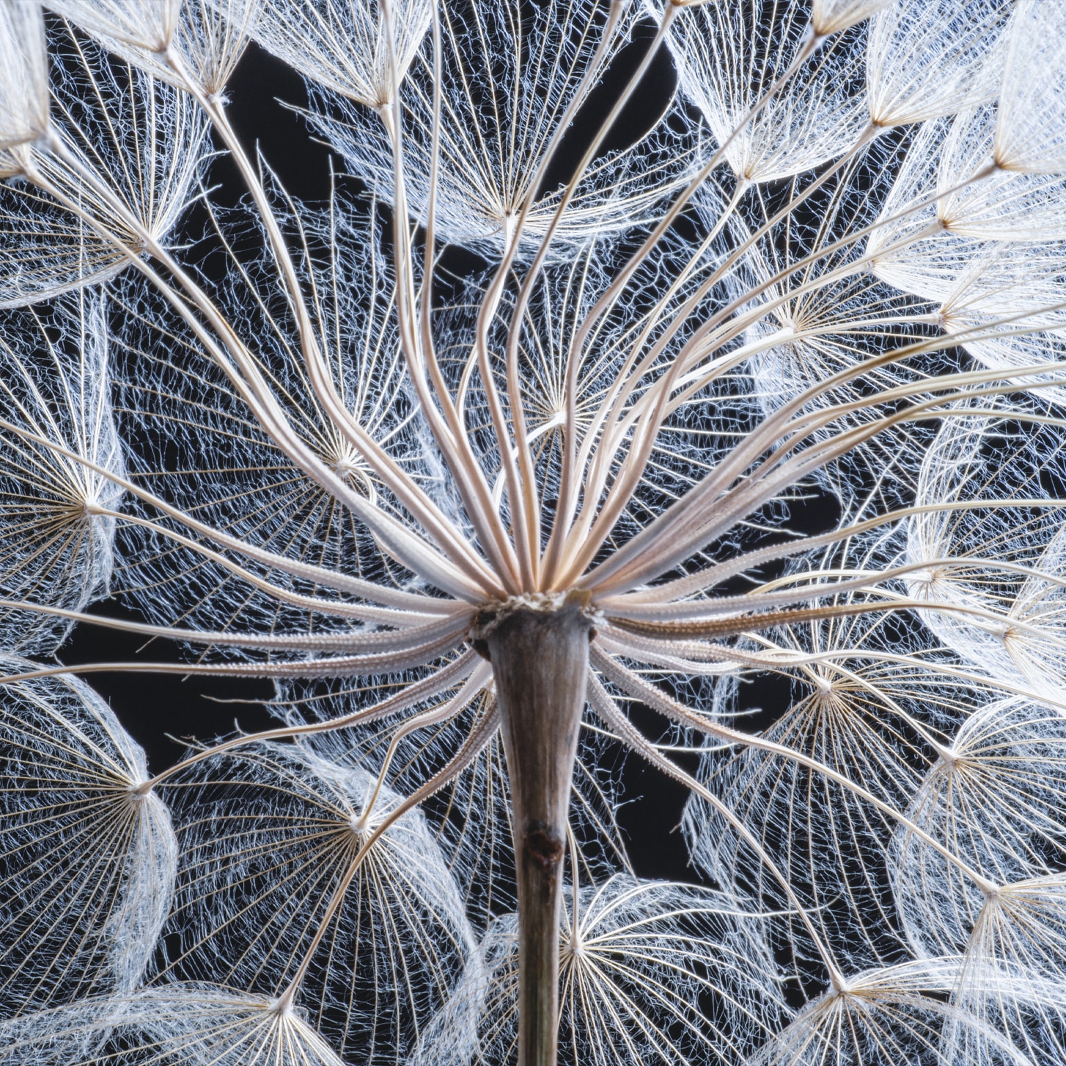 Reimagining HR: Insights from people leaders | McKinsey